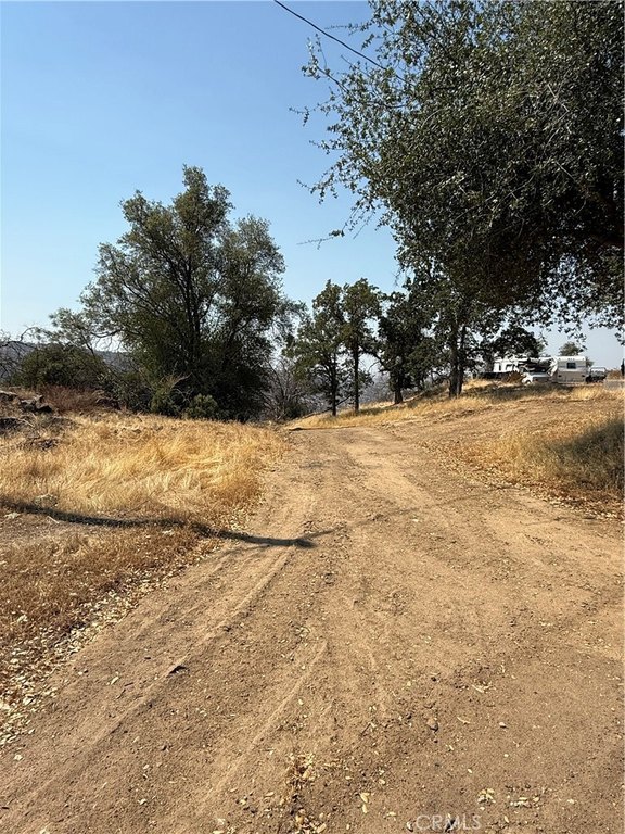 Picture 44