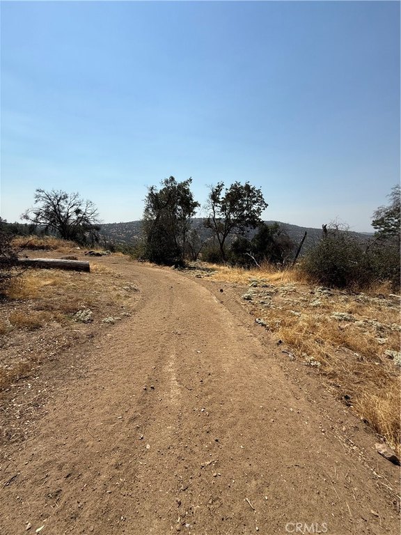Picture 34