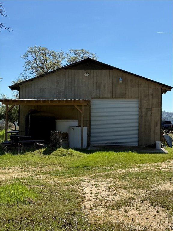 Picture 5