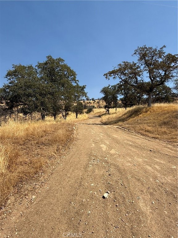 Picture 24