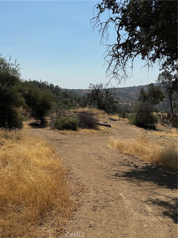 Picture 38