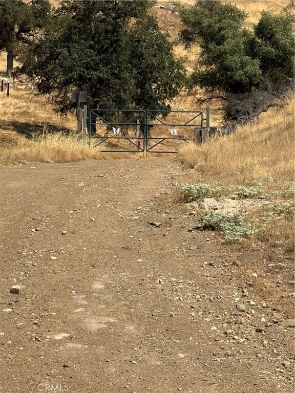 Picture 21