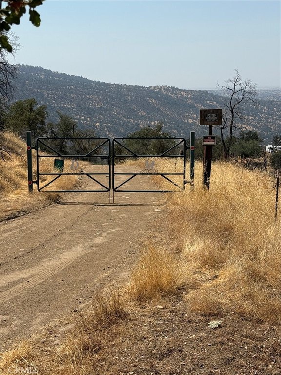 Picture 17