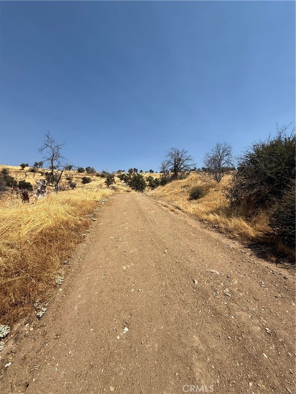 Picture 23