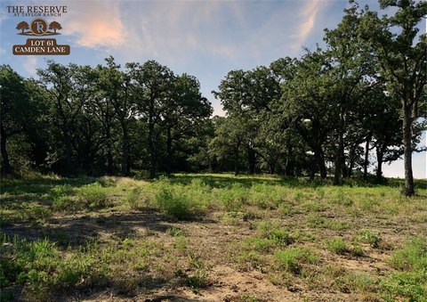 Parker County Land Opportunity