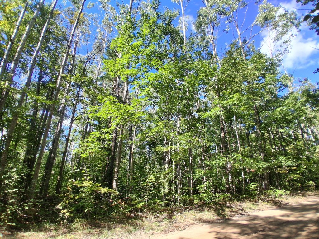 Picture 6