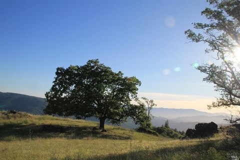 Land, Covelo, CA