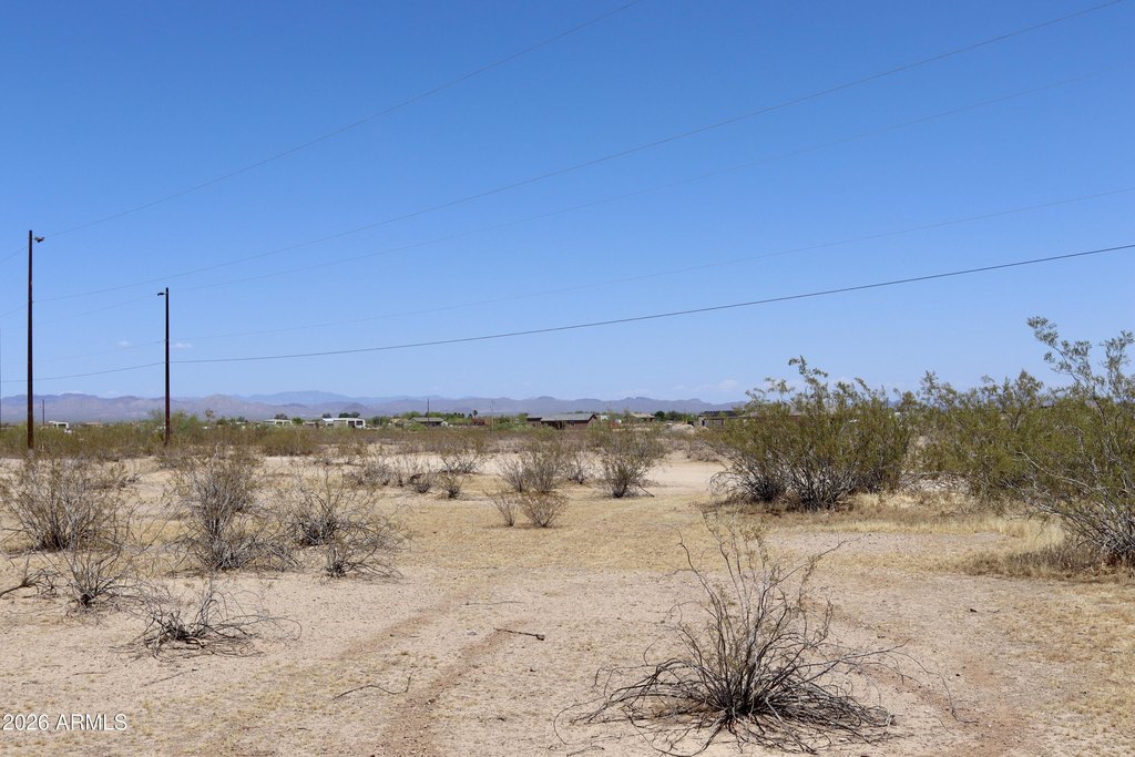 Picture 5