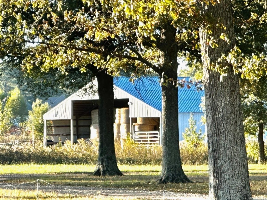 Picture 12