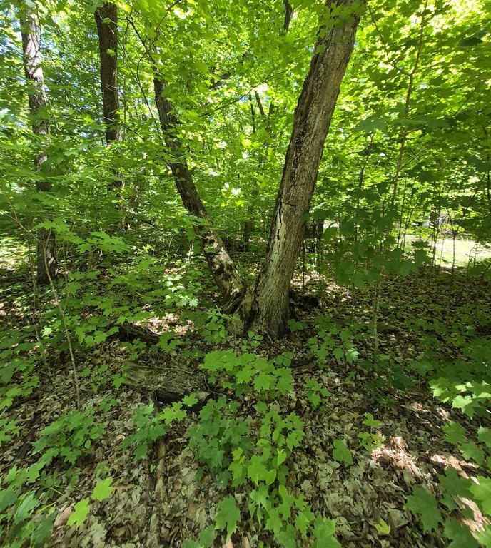 Picture 2