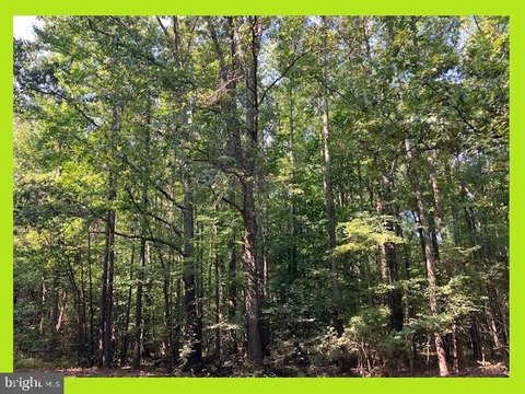 Land, BUSHWOOD, MD