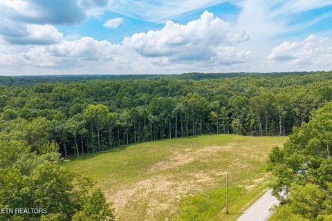 Lots & Acreage, Jamestown, TN