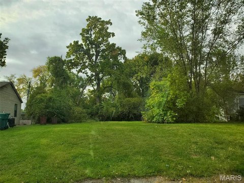 Residential Land in East St Louis