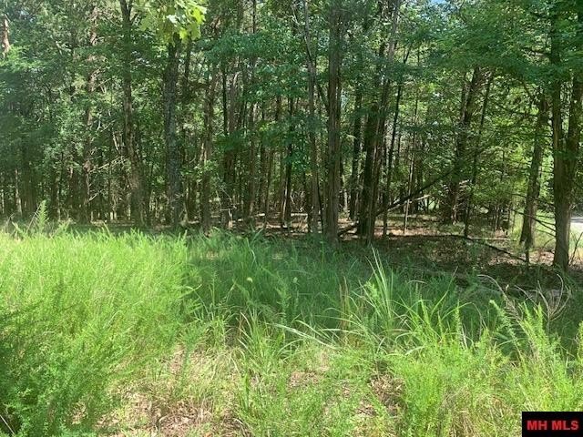 Picture 6