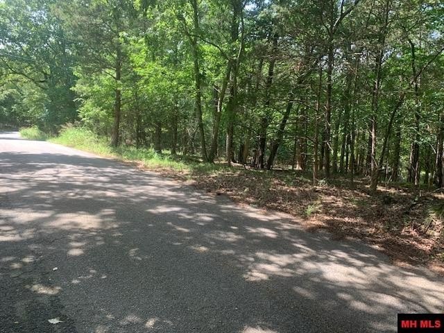 Picture 23