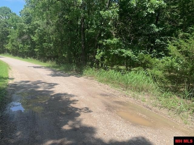 Picture 17