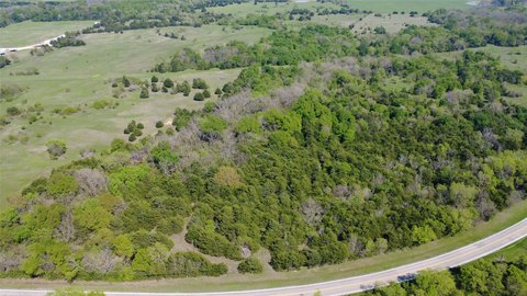 3-Acre Land with Mature Trees