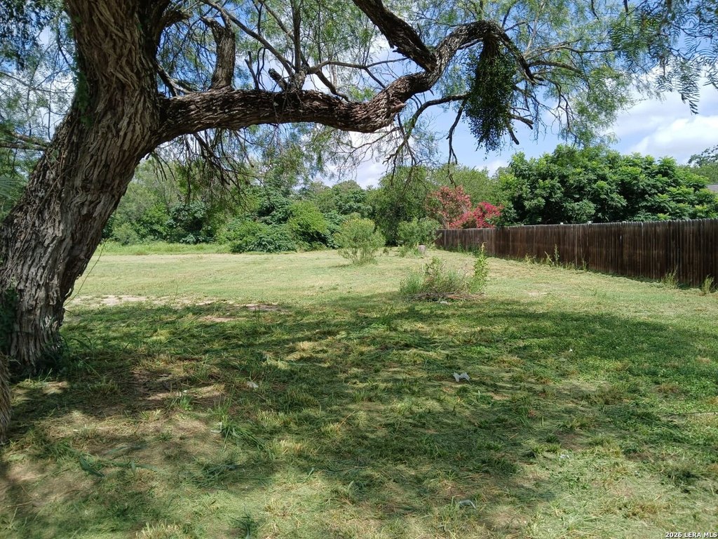 Picture 3