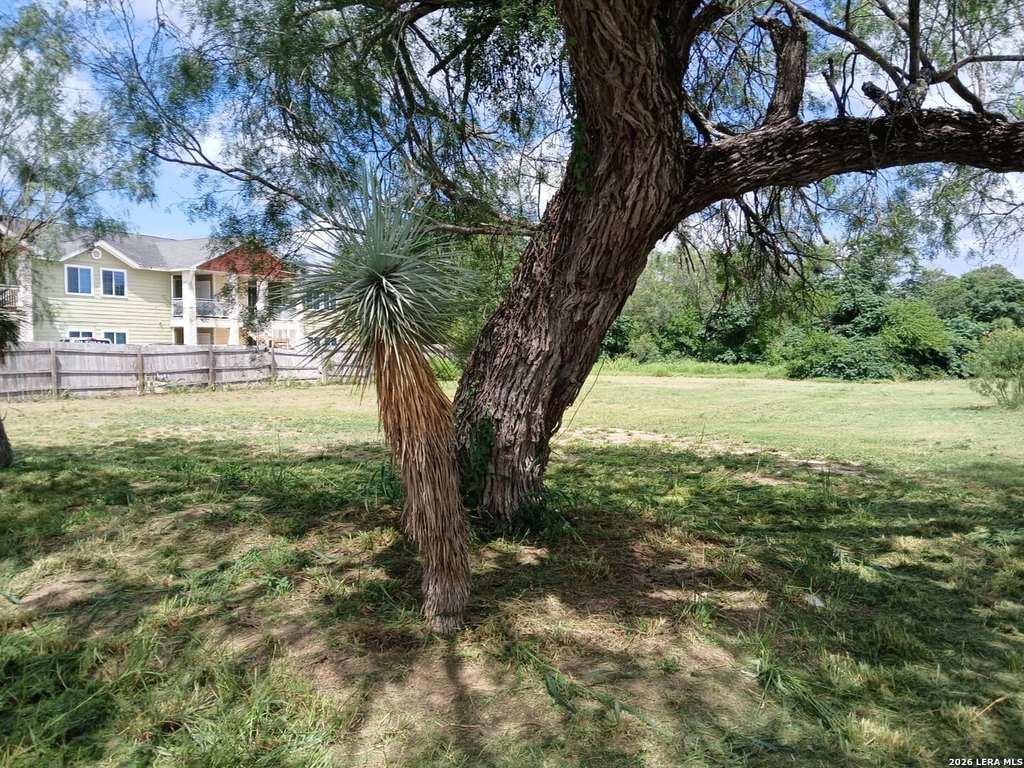 Picture 2