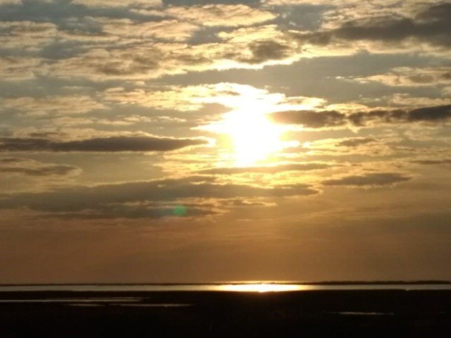 Picture 12