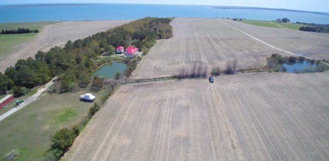Picture 13