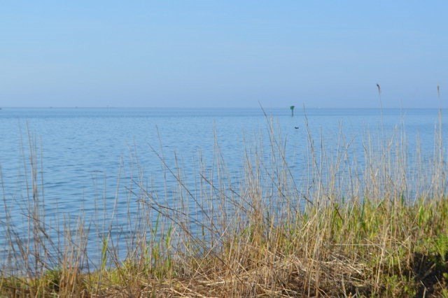 Picture 8