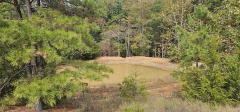 Land, Zanoni, MO