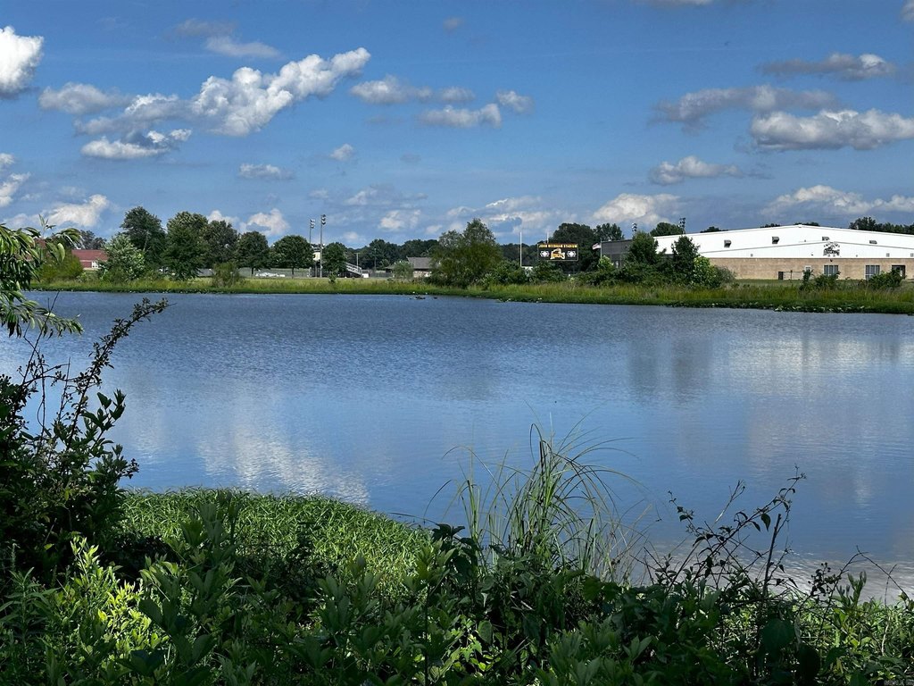 Picture 16