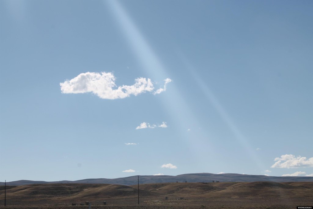 Picture 25