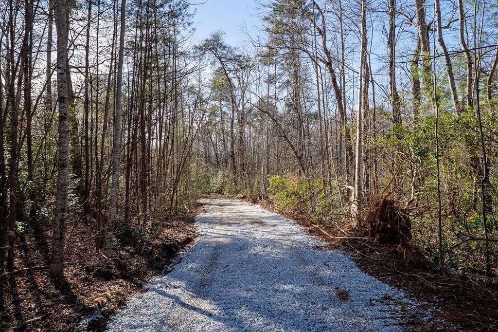 Private Homesite with Creek