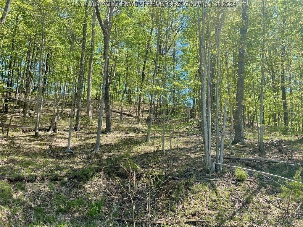 Picture 2
