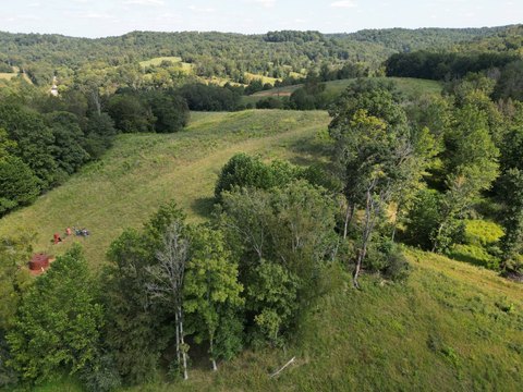 Agricultural Land with Woodlands