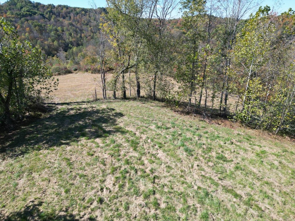 Picture 19