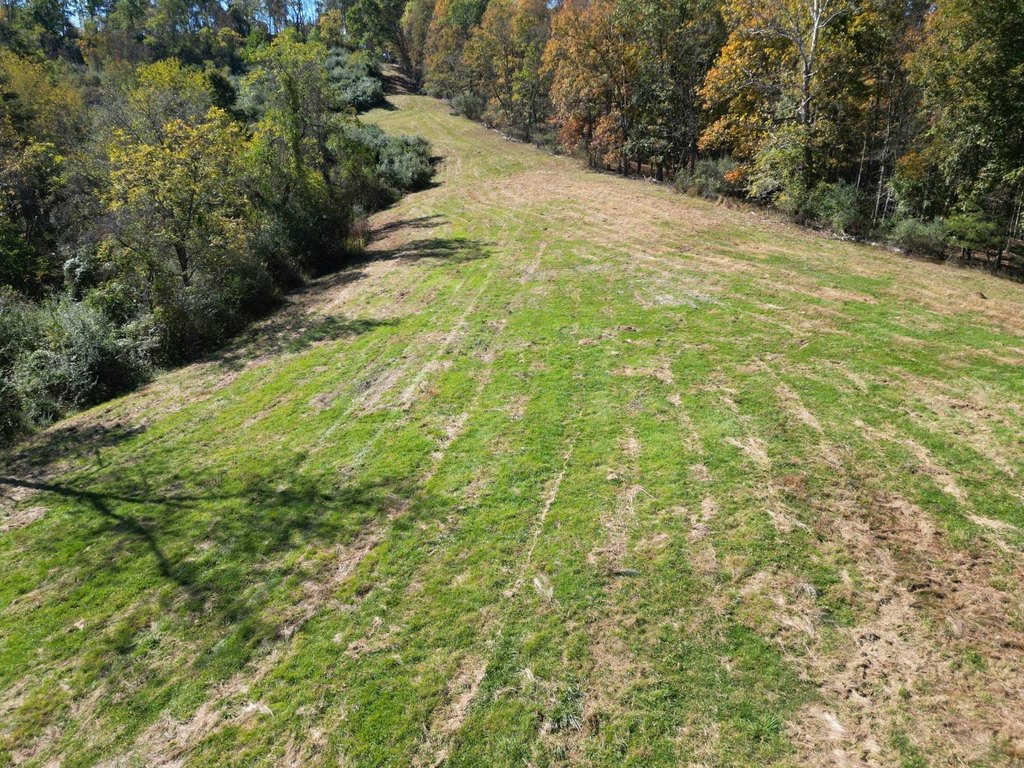 Picture 12