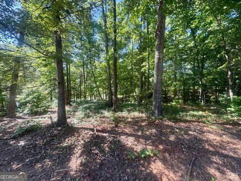 LAND - Cleveland, GA