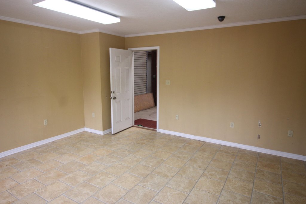 Picture 8