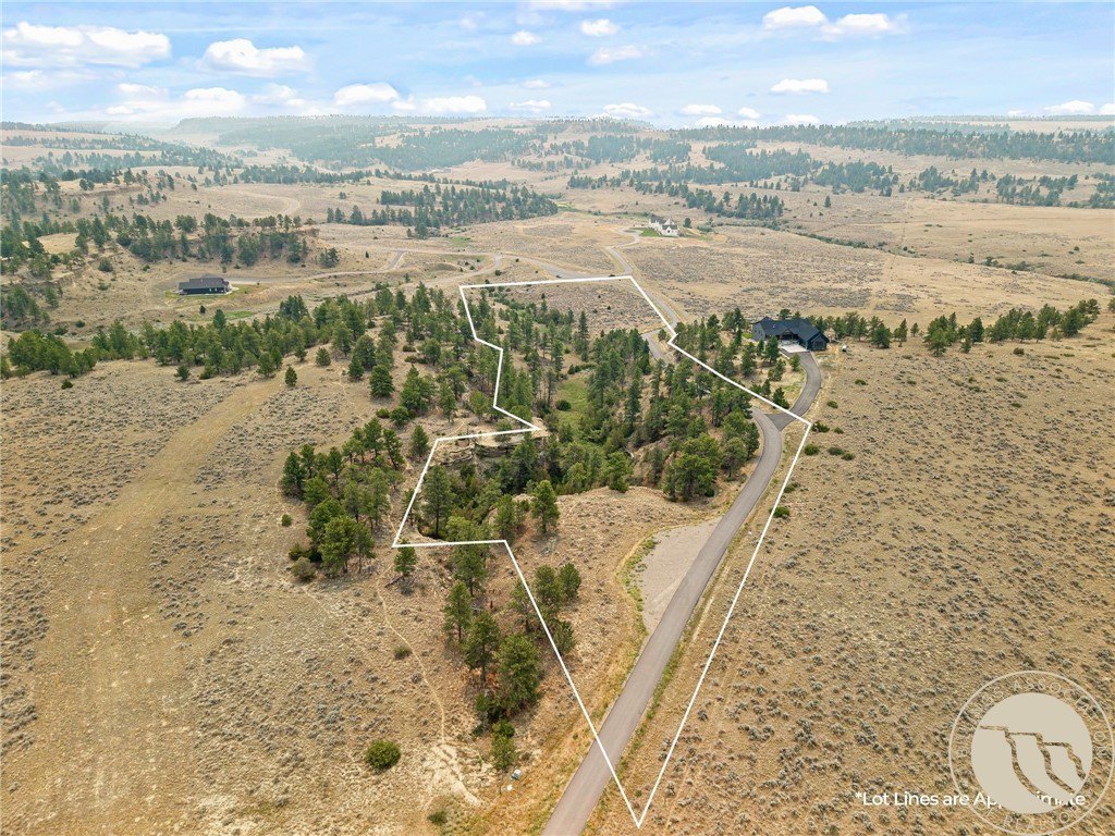 Picture 3