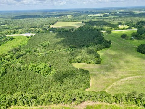 Brundidge Acreage: Hobby Farm Potential