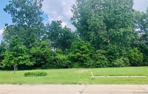 Buildable Lot in Romulus, MI