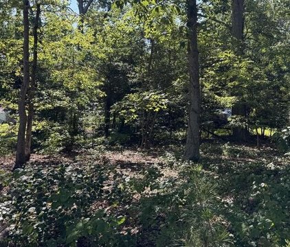 Land, REEDVILLE, VA