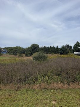 Land, Kalamazoo, MI