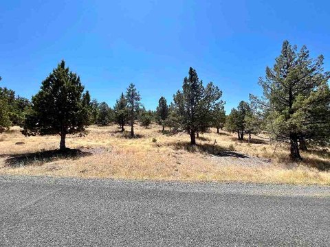 Land Near Lake Shastina