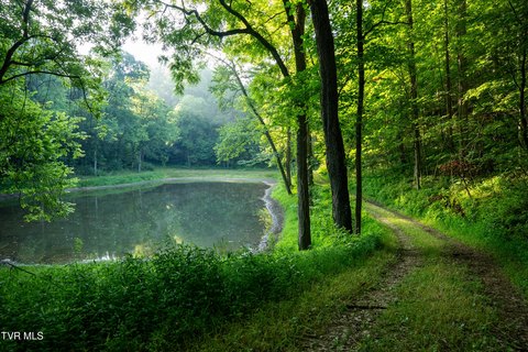 East Tennessee Mountain Estate