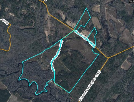 Timber and Hunting Land Tract