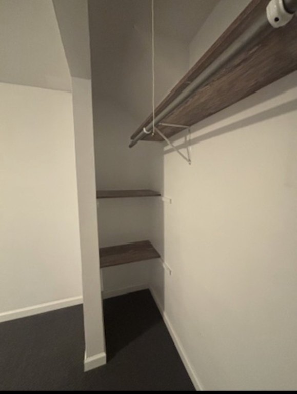 Picture 29