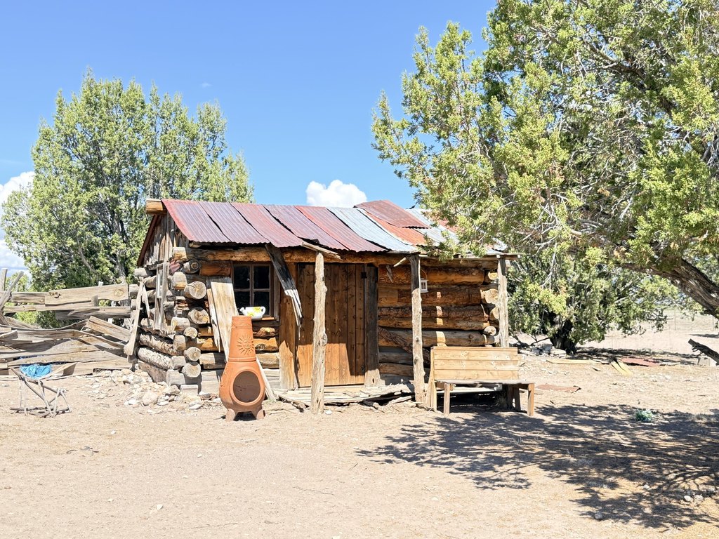 Picture 8