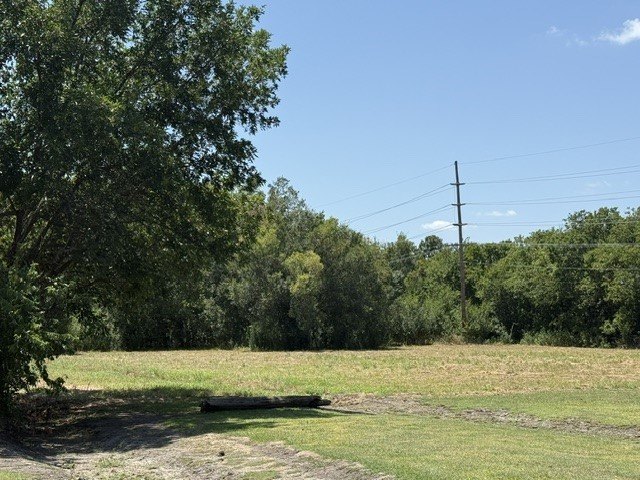 Picture 5