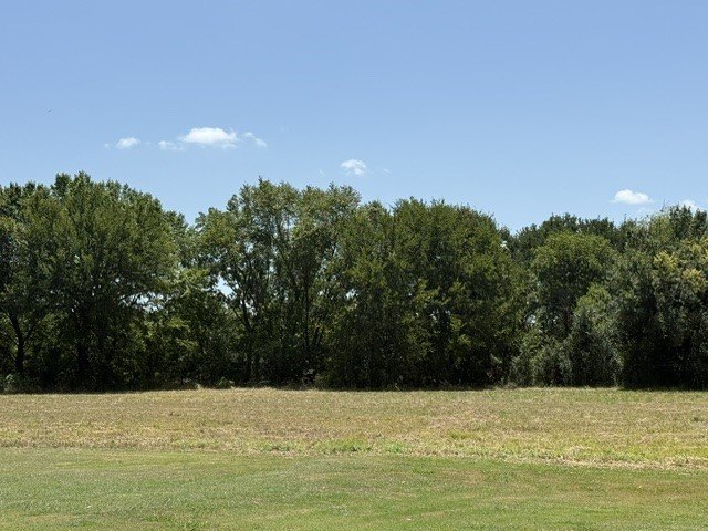 Picture 3