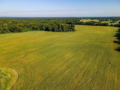 LAND - Somerville, TN