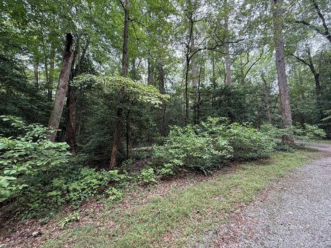 Wooded Residential Land Lot